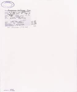 Eriophorum latifolium Hoppe