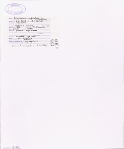 Eriophorum vaginatum L.