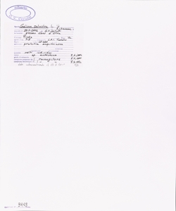 Galium palustre L. s.l.