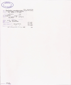 Euphorbia amygdaloides L. subsp. amygdaloides