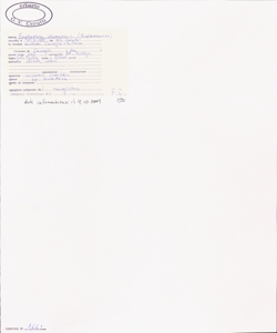 Euphorbia characias L.