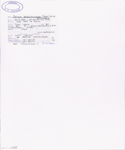 Fallopia baldschuanica (Regel) Holub