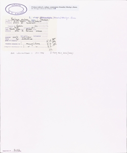 Festuca rubra L. subsp. commutata (Gaudin) Markgr.-Dann.