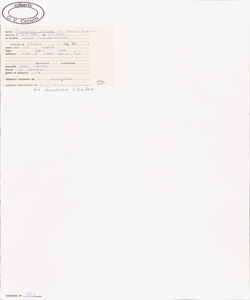 Filipendula ulmaria (L.) Maxim.