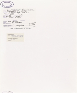 Festuca scabriculmis (Hack.) K. Richt. subsp. luedii Markgr.-Dann.