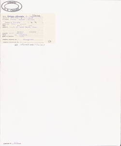 Galega officinalis L.