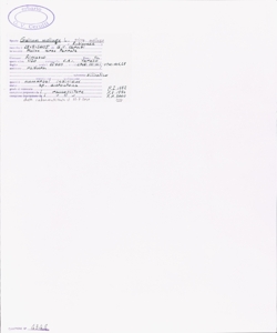 Galium mollugo L. subsp. mollugo