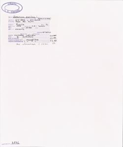 Geranium pusillum L.