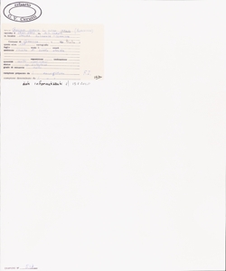 Galium verum L. subsp. verum