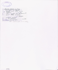 Genista radiata (L.) Scop.