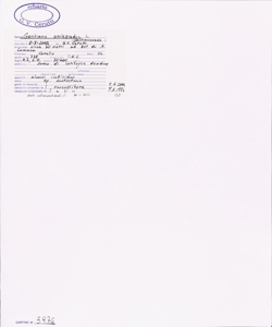 Gentiana asclepiadea L.