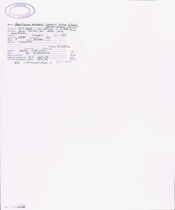 Gentiana burseri Lapeyr. subsp. villarsii (Griseb.) Rouy