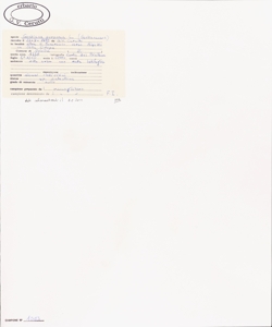 Gentiana purpurea L.