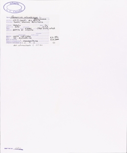 Geranium columbinum L.