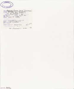 Glaucium flavum Crantz