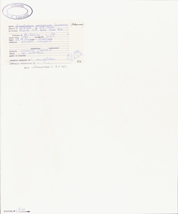 Gnaphalium norvegicum Gunnerus