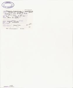 Hedypnois rhagadioloides (L.) F. W. Schmidt