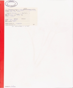 Helleborus viridis L. subsp. viridis