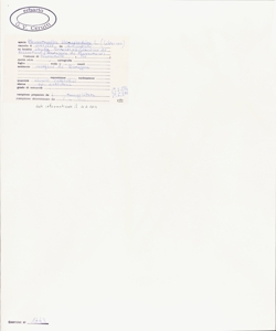 Hemerocallis lilio-asphodelus L.