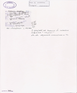 Hieracium laevigatum Willd.