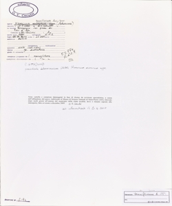 Hieracium tenuiflorum Arv. - Touv.