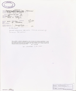 Hieracium umbellatum L.