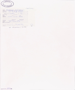 Hypericum perforatum L.