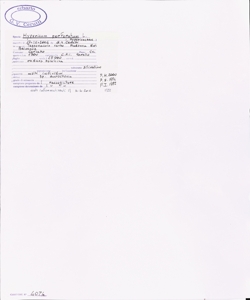 Hypericum perforatum L.