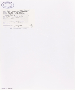 Inula conyzae (Griess.) Meikle