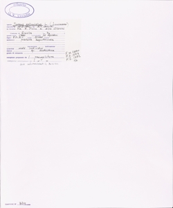 Juncus articulatus L.