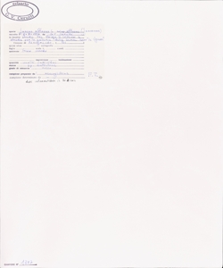 Juncus effusus L. subsp. effusus