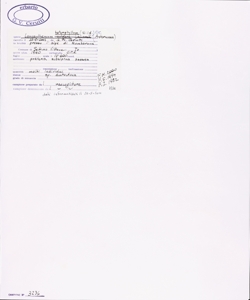 Leucanthemum heterophyllum (Willd.) DC.