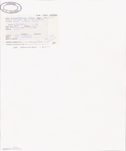 Leucanthemum vulgare Lam. subsp. vulgare