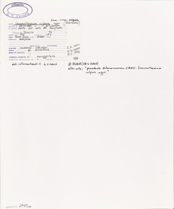 Leucanthemum vulgare Lam. subsp. vulgare