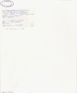 Juniperus phoenicea L. s.l.