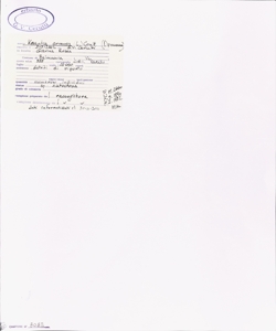 Knautia arvensis (L.) Coult.