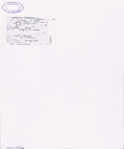 Lathyrus tuberosus L.