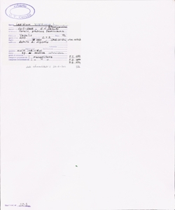 Lepidium virginicum L.