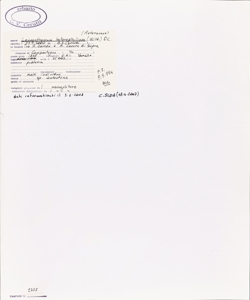 Leucanthemum heterophyllum (Willd.) DC.