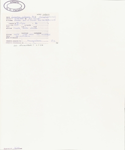 Linaria vulgaris Mill. subsp. vulgaris