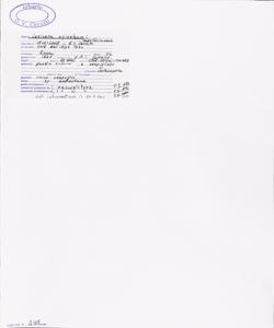 Lonicera xylosteum L.