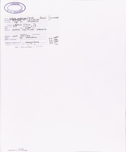 Luzula sudetica (Willd.) Schult.