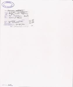 Matricaria chamomilla L.