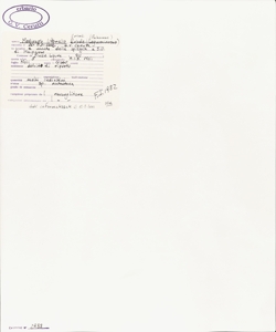 Medicago littoralis Loisel.