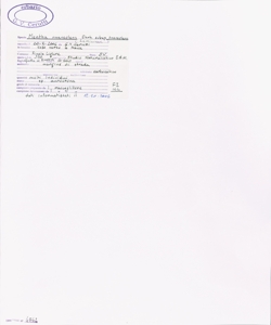 Mentha suaveolens Ehrh. subsp. suaveolens