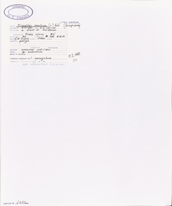 Misopates orontium (L.) Raf. subsp. orontium