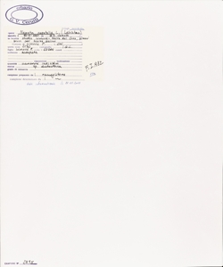 Nepeta nepetella L. subsp. nepetella