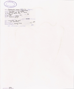 Onobrychis supina (Vill.) DC.