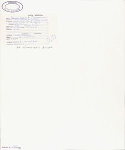 Papaver dubium L. subsp. dubium