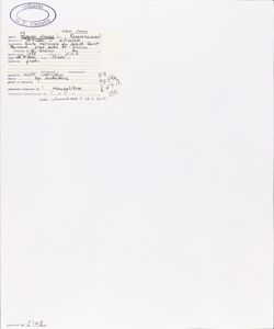 Papaver rhoeas L. subsp. rhoeas